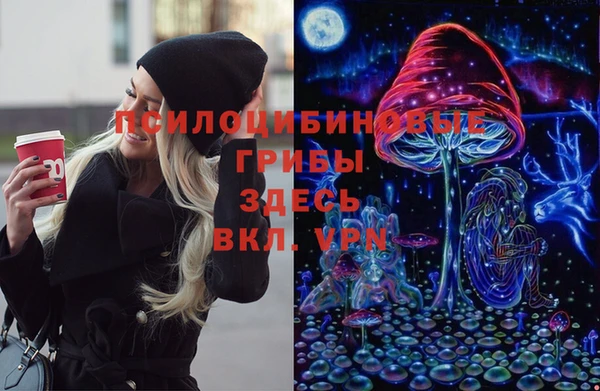 гидропоника Елизово