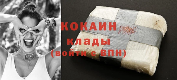 твердый Ельня