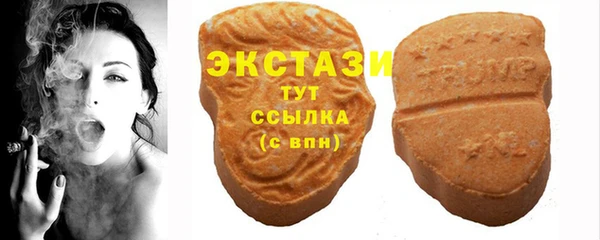 твердый Ельня