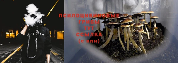твердый Ельня