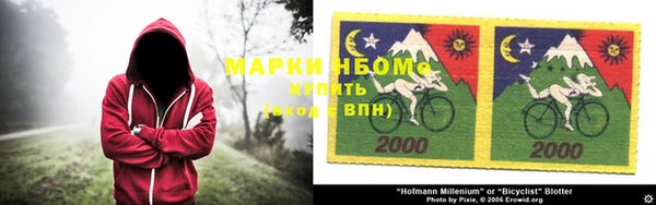 дмт Елабуга