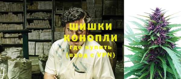 твердый Ельня