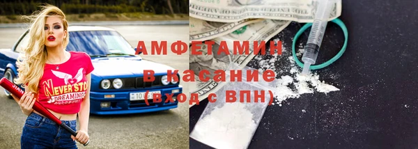 твердый Ельня