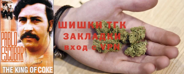 дмт Елабуга